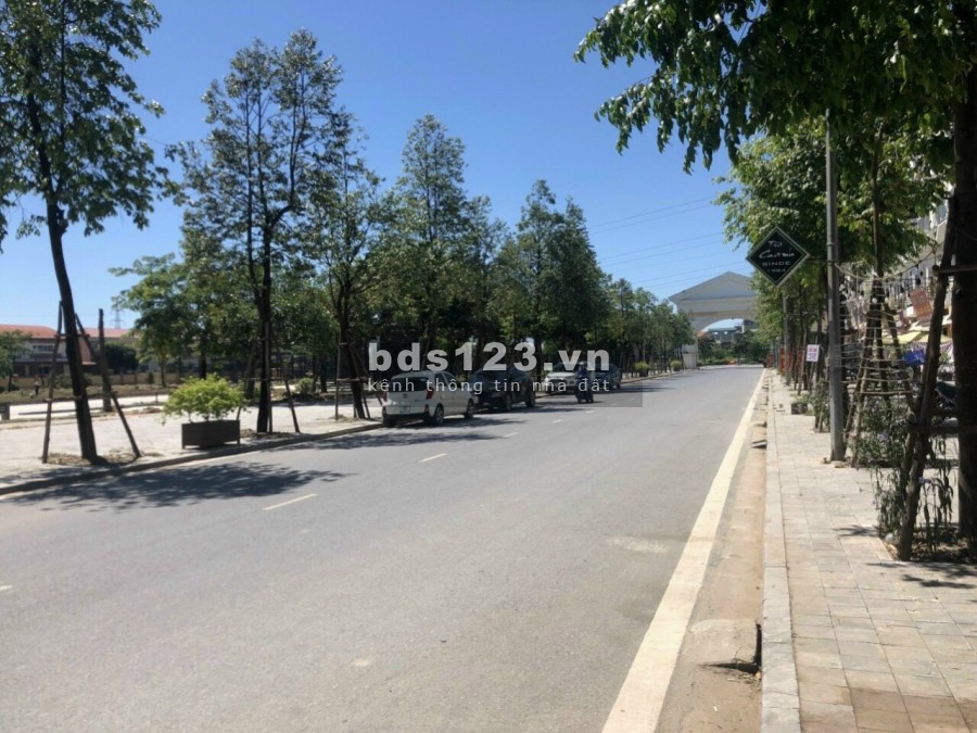 Bán biệt thự khu D Nam Cường, Hà Đông, lô góc 3 mặt tiền diện tích 100m2 Xây Full đất
