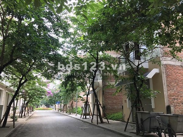 Bán biệt thự khu D Nam Cường, Hà Đông, lô góc 3 mặt tiền diện tích 100m2 Xây Full đất