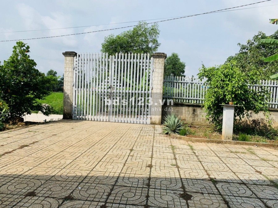 Còn 1 lô duy nhất, đất sào có 100m thổ cư giá cực rẻ, liên hệ ngay mùa dịch