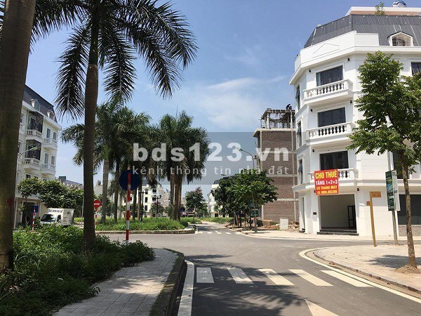 Bán biệt thự khu D Nam Cường, Hà Đông, lô góc 3 mặt tiền diện tích 100m2 Xây Full đất