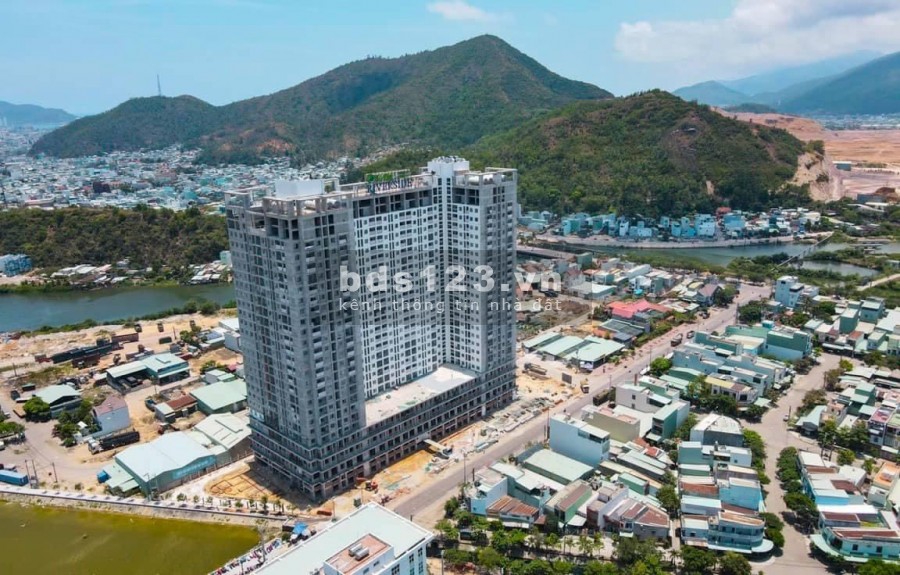 Lý do khiến khách hàng vở òa khi mua căn hộ Ecolife Quy Nhơn liên hệ chính chủ