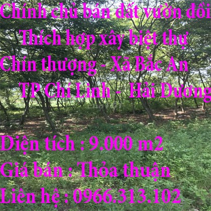 Chính chủ cần bán đất vườn đồi thích hợp xây biệt thự, giá bán thoả thuận