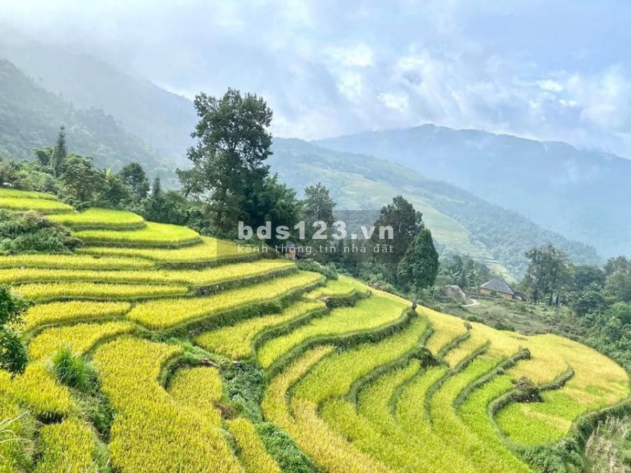 Bán gấp lô đất SAPA 2 Lào Cai view đẹp vị trí đắc địa phù hợp làm du lịch, giá đầu tư