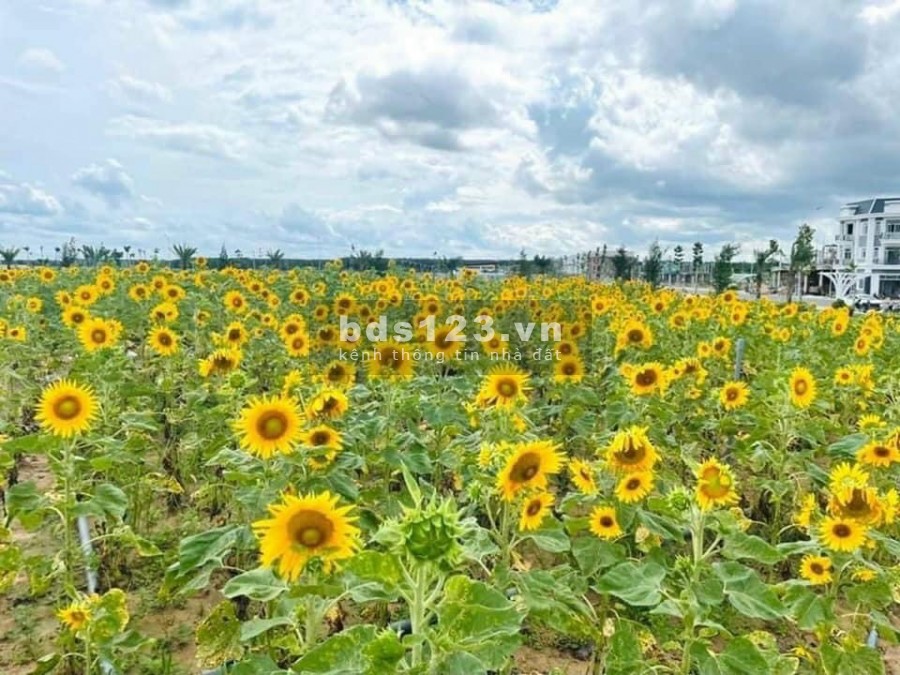 Siêu phẩm Đất nền ngay sân bay Long Thành giá chỉ 19 triệu m2