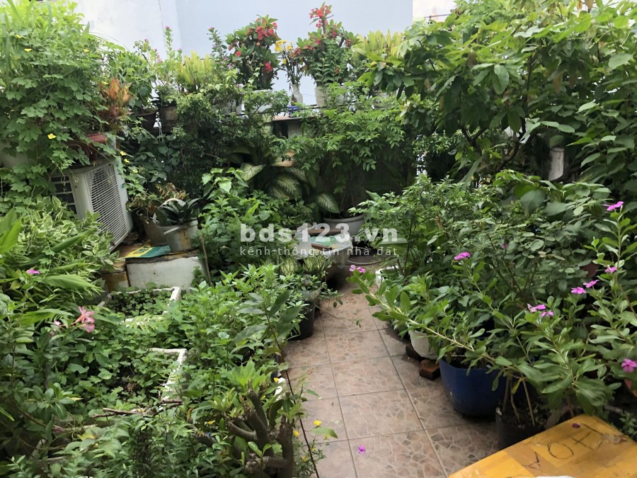 Nhà Lạc Long Quân Siêu To Nở Hậu 99m2-3 Tầng HxH Giá 8.9Ty
