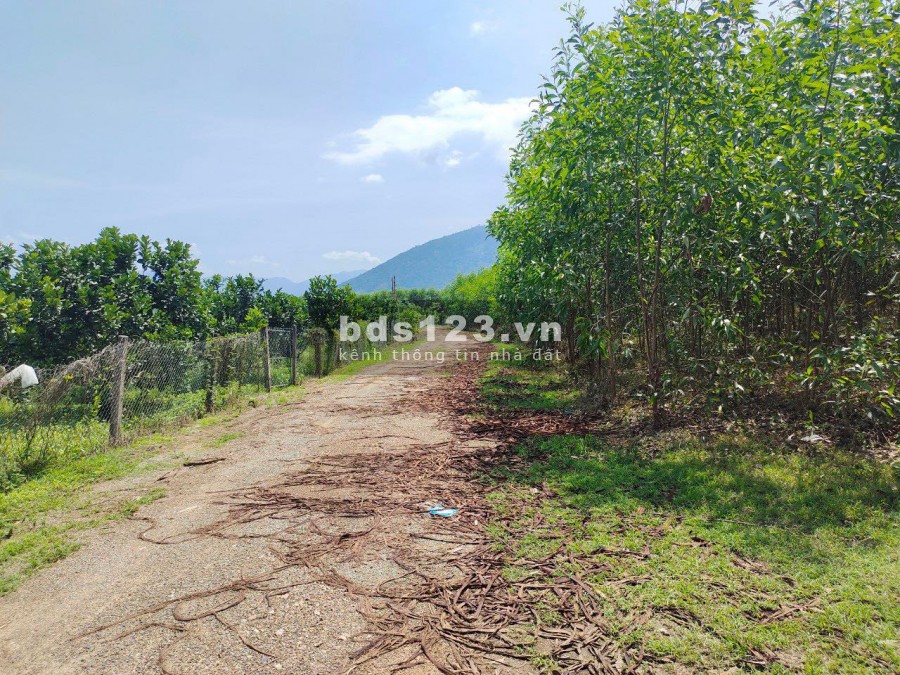 bán đất qh thổ cư mặt tiền hơn 100m ngang xã Khánh Trung giá rẻ LH 0788.558.552