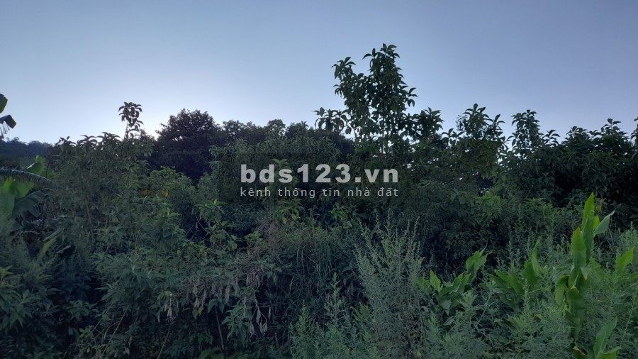 Bán lô đất diện tích sử dụng 500 m2 Phan Cán Xử, view tuyệt đẹp