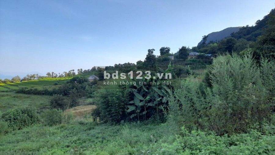 Bán lô đất diện tích sử dụng 500 m2 Phan Cán Xử, view tuyệt đẹp