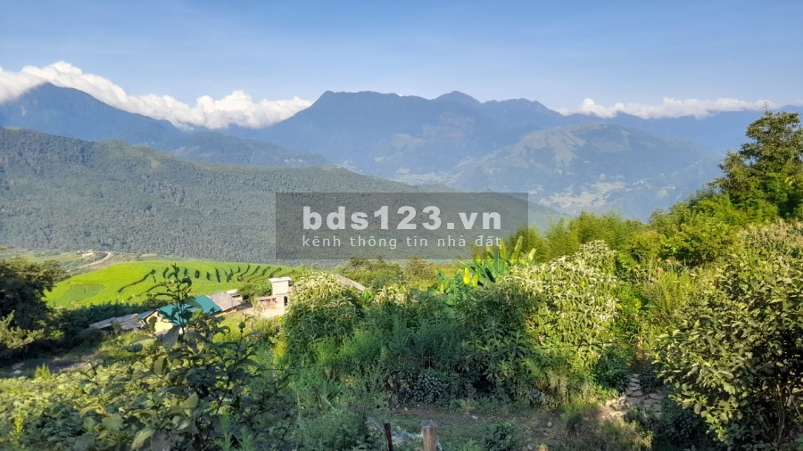 Bán lô đất diện tích sử dụng 500 m2 Phan Cán Xử, view tuyệt đẹp