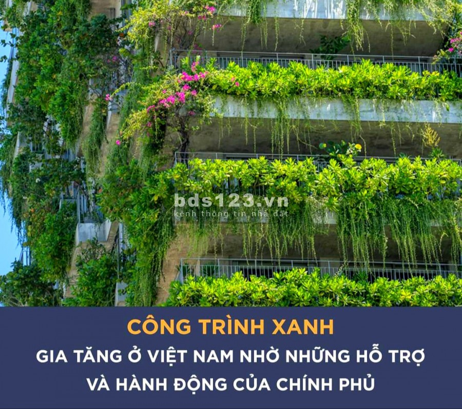 Bán Nhanh Lô Bán Khu Phố Chợ An Nhơn, giá chỉ từ 19 triệu/m2