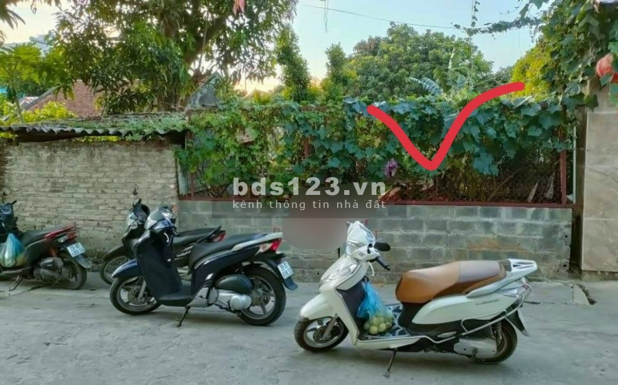 Diện tích sư dụng 140m2 trục chính đường nhánh khu Tân Bình Xuân Mai, đường lớn