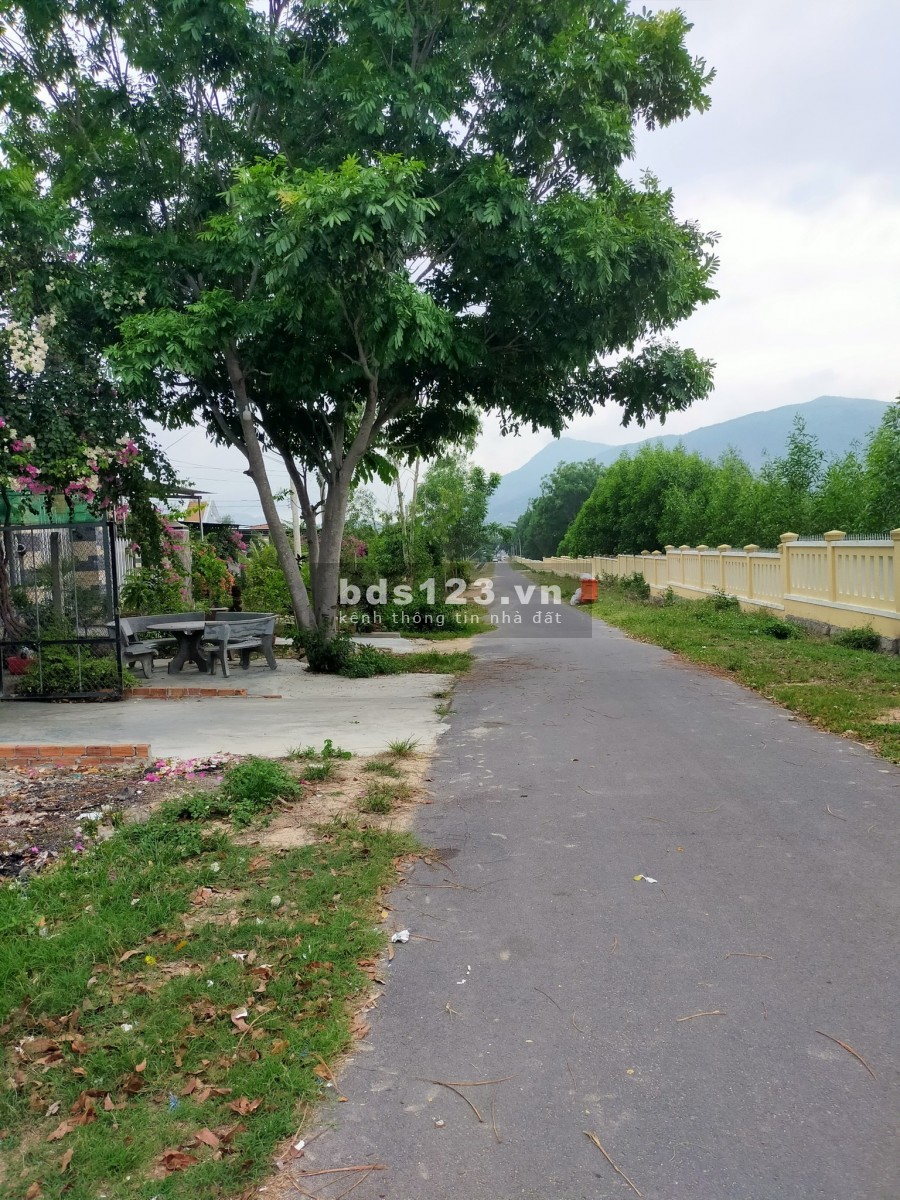Đất đẹp Cam Lâm cạnh KCN Suối Dầu giá chỉ 4,8tr/mv, ngân hàng hỗ trợ 70% giá trị đất