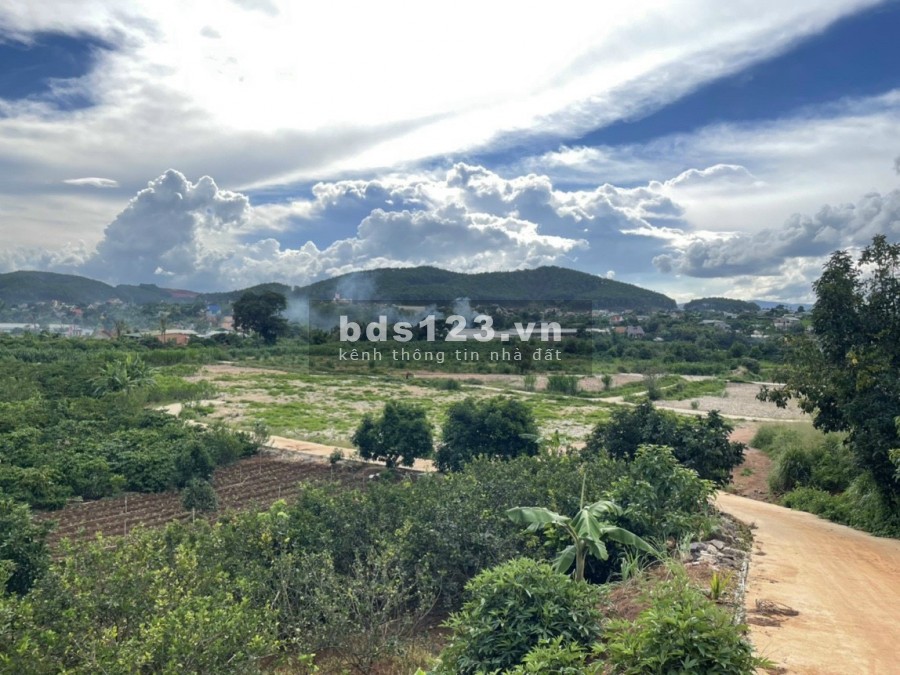 Bán đất nền tại Đông Thanh Nam Ban Lâm Hà, sổ hồng riêng chính chủ