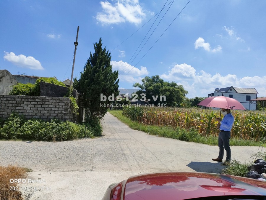 Quỹ đất bên em cực kì tiềm năng giá cực kì rẻ trong khi đó đất bên cạnh đã hơn 1 tỷ