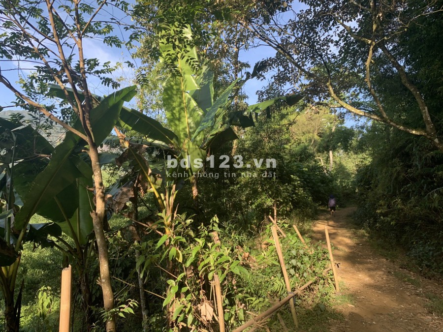 Bán đất Y Tý rộng 700m2 thuộc khu quy hoạch đất ở view cực đẹp 0822356688