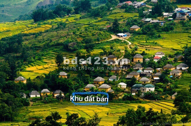 Bán gấp 238m2 đất sát trung tâm du lịch của đô thị du lịch Y Tý – Lào Cai