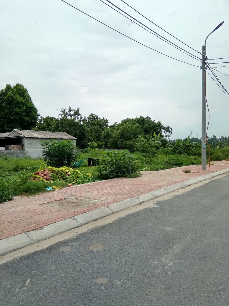 Bán 2 lô đất Đấu giá Xanh Tý Lạc Đạo, gần chợ, trường học. LH 0934.334.944