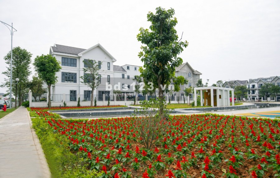 Mở bán quỹ căn biệt thự dự án Times Garden Vĩnh Yên, an ninh 24/7
