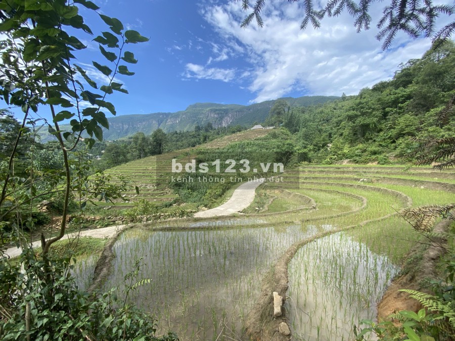 Đất nền y tý_sapa 2 đón sóng trước công bố quy hoạch, giá bán thoả thuận