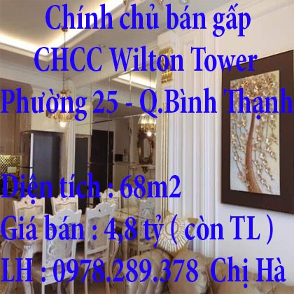 Chính chủ bán gấp căn hộ chung cư Wilton Tower,D1,Phường 25,Quận Bình Thạnh