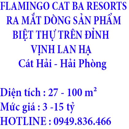 Chính chủ cần bán căn góc nở hậu trục đường lớn, phường 14, Quận Gò Vấp, giá bán 7.95 tỷ