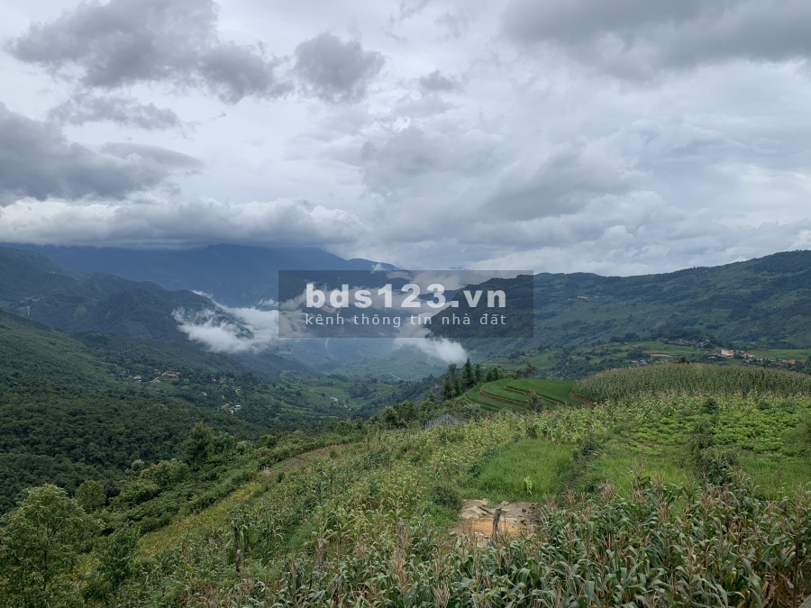 Đất nền trung tâm Y Tý (Sapa2) tiềm năng tăng giá nhất thoả thuận chính chủ