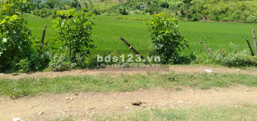 Lô đât đẹp 3 mặt tiền 1500m2 có 800m thổ cư Băc phong Cao Phong Hoà Bình