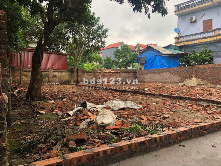 Cần bán gấp 65m2 đất Lạc Đạo - Văn Lâm, ngay gần trường Tiều Học, giá tốt cho nhà đầu tư. LH 0835459289