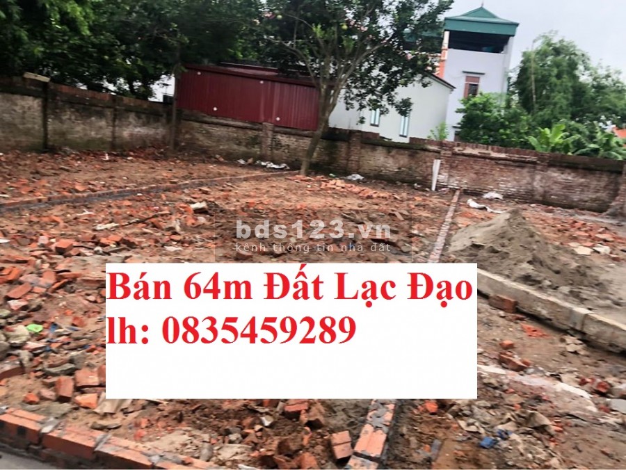Cần bán gấp 65m2 đất Lạc Đạo - Văn Lâm, ngay gần trường Tiều Học, giá tốt cho nhà đầu tư. LH 0835459289