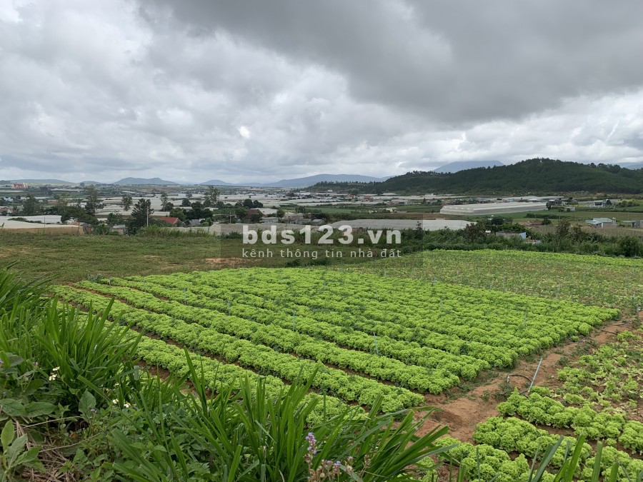 Đất nghỉ dưỡng tại Ka Đơn, Đơn Dương, Lâm Đồng, sổ hồng có sẵn công chứng ngày