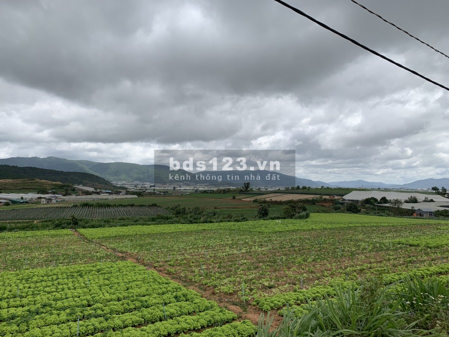 Đất nghỉ dưỡng tại Ka Đơn, Đơn Dương, Lâm Đồng, sổ hồng có sẵn công chứng ngày