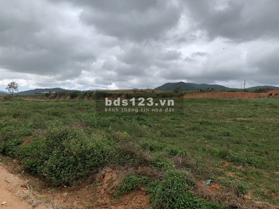 Đất nghỉ dưỡng tại Ka Đơn, Đơn Dương, Lâm Đồng, sổ hồng có sẵn công chứng ngày