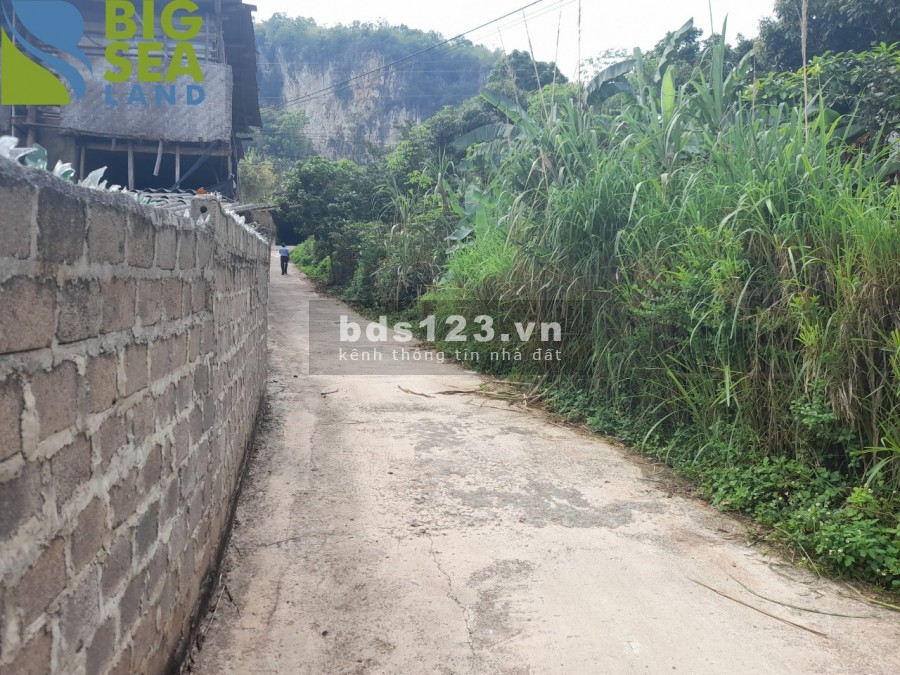 Chính chủ cần bán lô đất diện tích 1000m2 tại Mộc Châu-Sơn La giá sốc