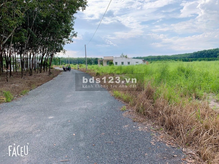 Dịch Em Bán Phá Giá Lô Đất Vườn diện tích 1000m2 SHR Hớn Quản Bình Phước