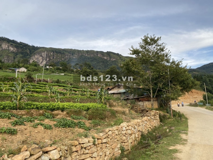 Bán lô đất mặt đường 158 vị trí đắc địa nhất ở Y Tý Sapa2, liên hệ 0987336598