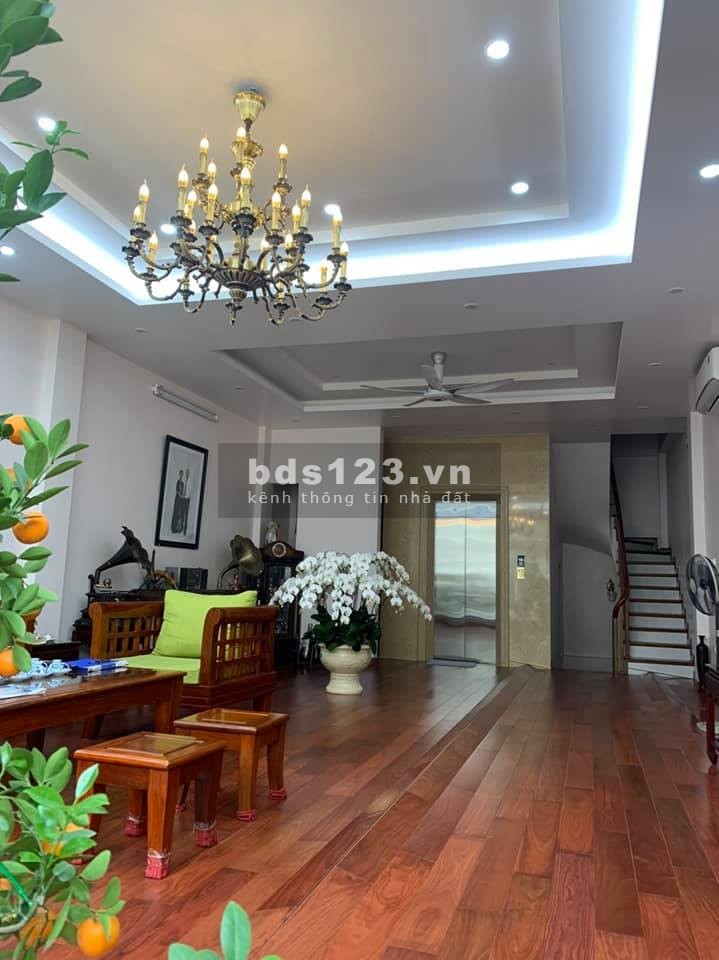 Mặt phố trung tâm nội thất gỗ quý thang máy dát vàng, lh 0973357014