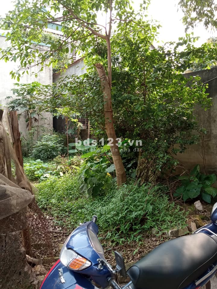 Bán đất Yên Nghĩa Hà Đông, ô tô vào diện tích 45m2, giá chỉ 1.57 tỷ