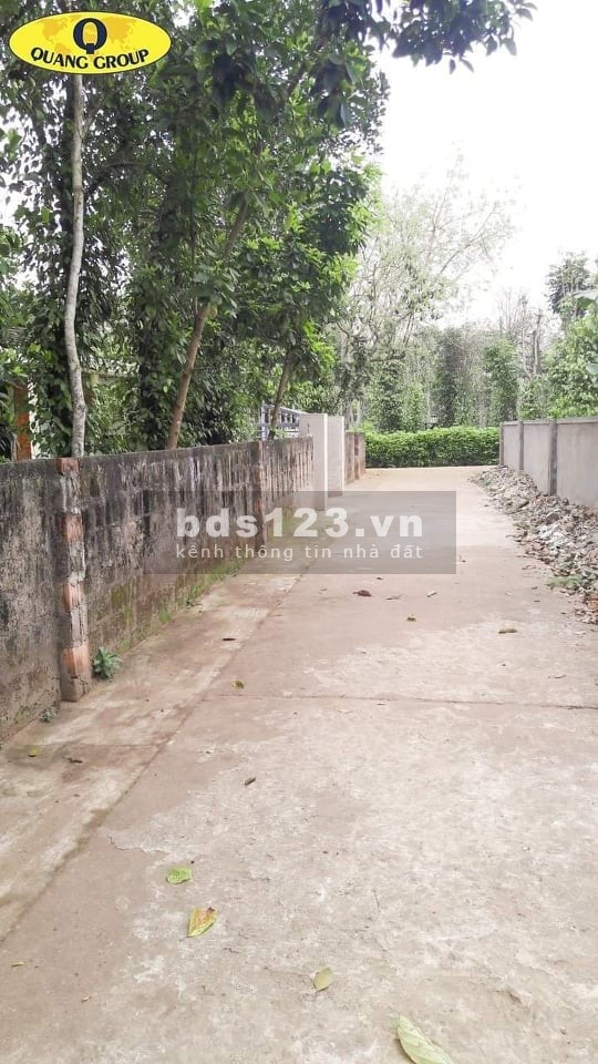 Đất biển ngay trung tâm thị trấn Cửa Tùng bán đất tặng nhà, lh 0977961500