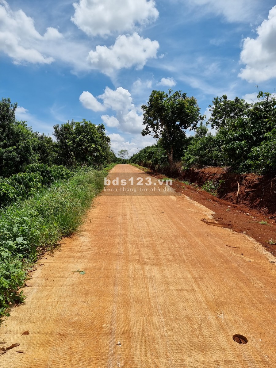 Đất nền Đông Thanh giá rẻ 389 triệu 240m2 view đồi, liên hệ xem đất 0935434534
