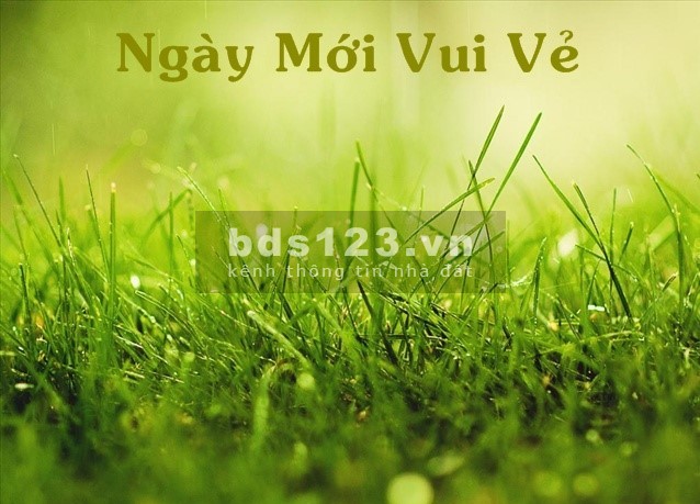 Bán nhà lô góc 5 tầng Nguyễn Đình Chiểu P4 Quận 3 dt 32m2 giá rẻ chỉ 7.25 tỷ