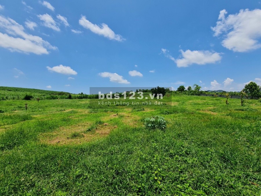 3030m2 full đât vườn , ( có thể lên thổ cư ) Dũng Phong Cao phong
