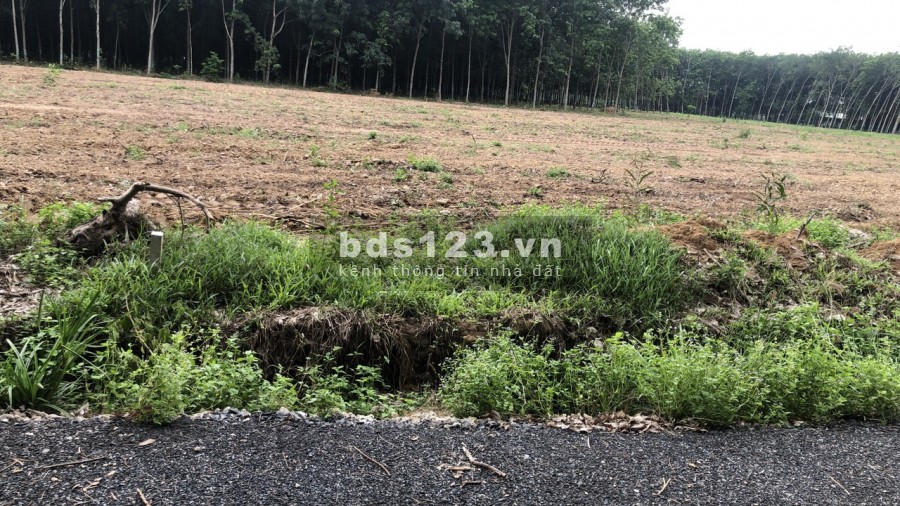 Chính chủ cần bán lô đất 509m2 quy hoạch ONT thuộc khu dân cư hiện hữu xã Bàu Cạn Long Thành, SHR