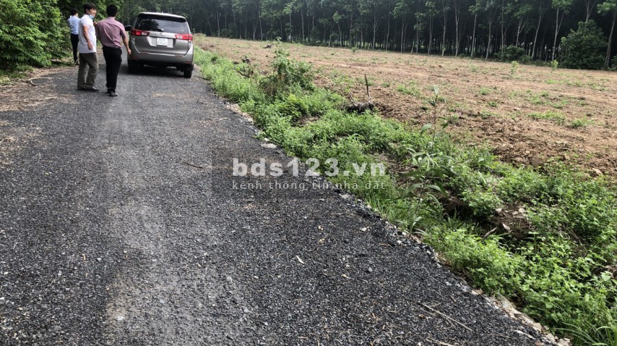 Chính chủ cần bán lô đất 509m2 quy hoạch ONT thuộc khu dân cư hiện hữu xã Bàu Cạn Long Thành, SHR