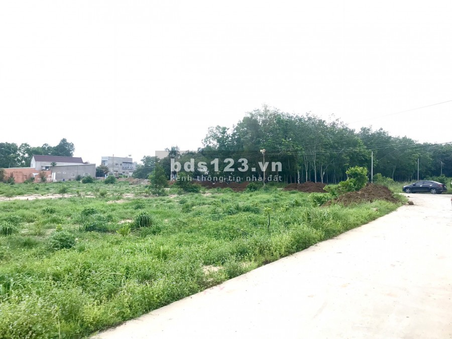 Đất trung tâm hành chính mới Phú Mỹ, Sổ riêng thổ cư, dân cư đông đúc