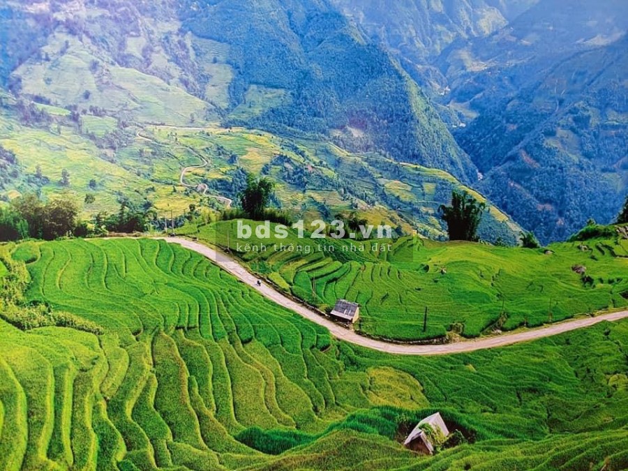 Đất y tý sapa2 đẹp và cực hot ngay hôm nay sở hữu ngay lô đất đẹp, liên hệ 0987336598