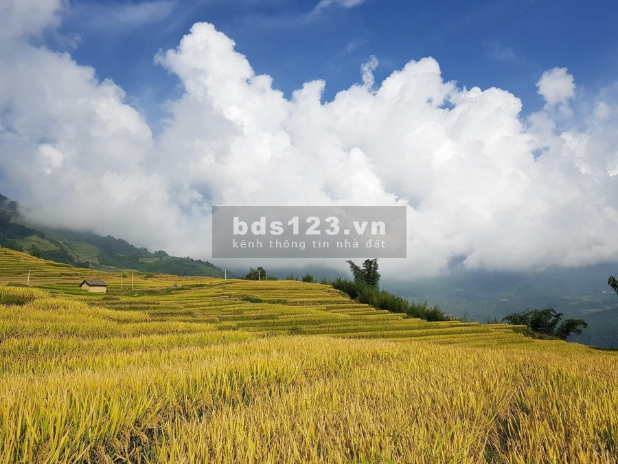 Đón đầu thị trường Bất động sản Y Tý- Sapa 2, giá thỏa thuận, diện tích rộng