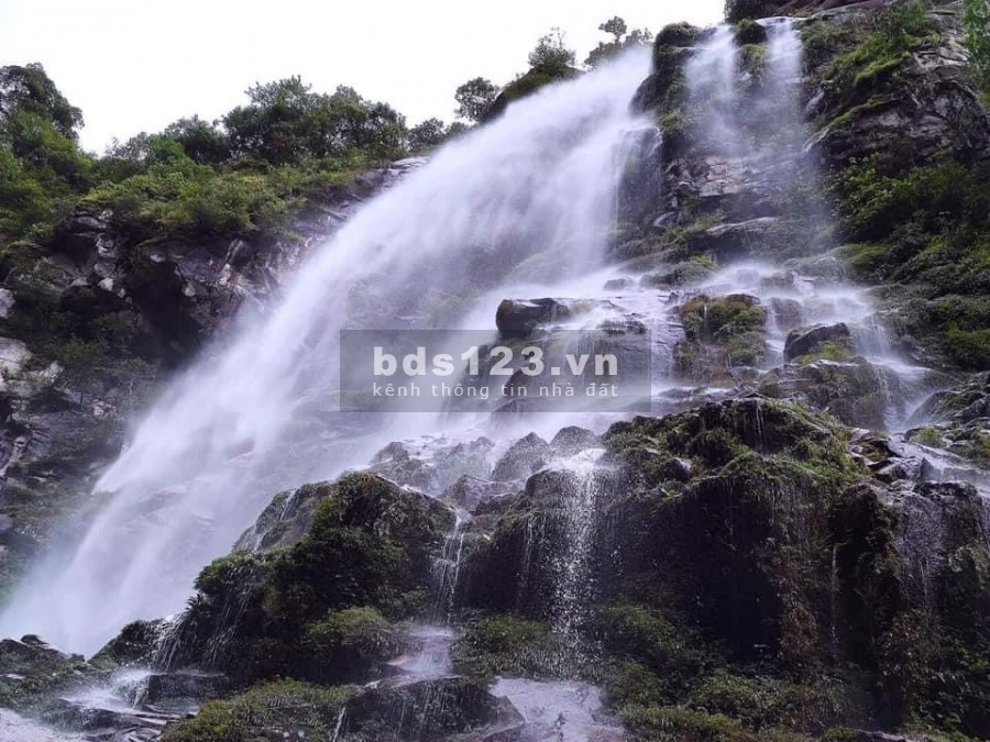 Mảnh đất siêu đẹp ở thôn Lao Chải y tý -sapa 2 giá hấp dẫn thoả thuận chính chủ