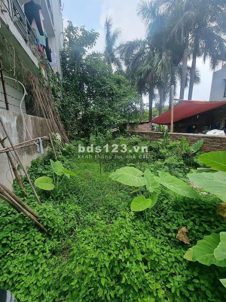 Bán 47m2 đất lô góc, mặt tiền 5.7m,ô tô đỗ cổng, 3.3 tỷ tại Bắc Từ Liêm