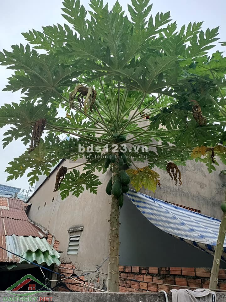 Bán nhà nát đường Võ Duy Ninh Quận Bình Thạnh diện tích 83m2 giá chỉ 5.2 tỷ