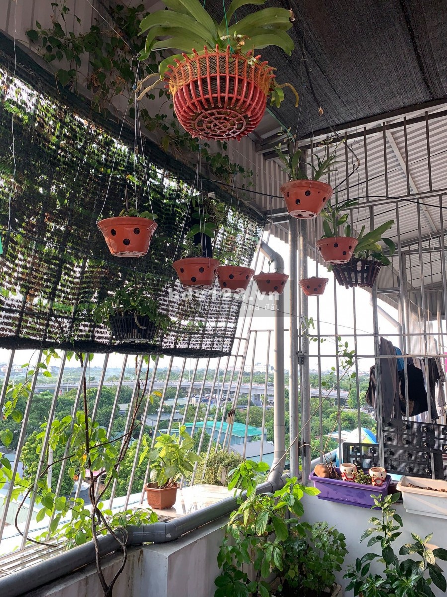 Bán Nhà Phố Đàm Quang Trung Long Biên Lô Góc ô tô 5 tầng đúc giá nhỉnh 3 tỷ